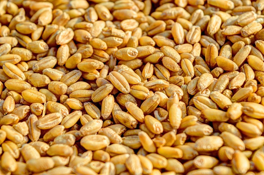 cate calorii are o portocala
