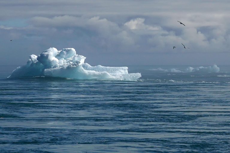 Lucrări de licență despre schimbările climatice: 5 idei potrivite pentru studenții la geografie